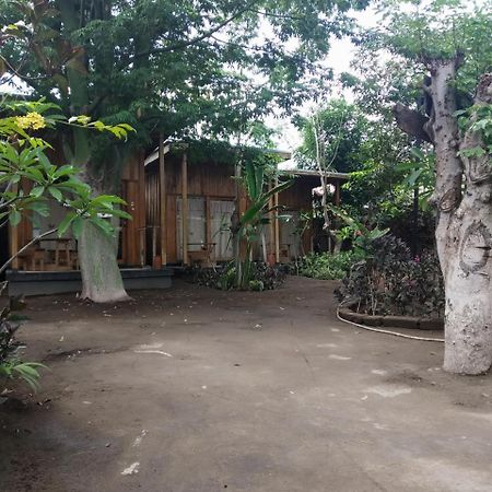 Beach Box Bungalow Gili Trawangan Zewnętrze zdjęcie