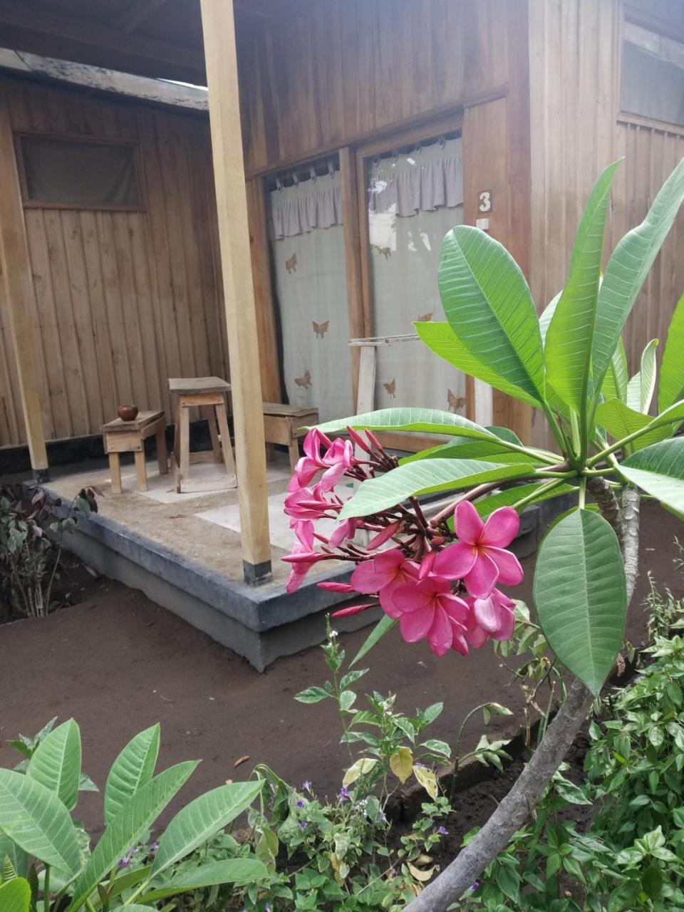 Beach Box Bungalow Gili Trawangan Zewnętrze zdjęcie