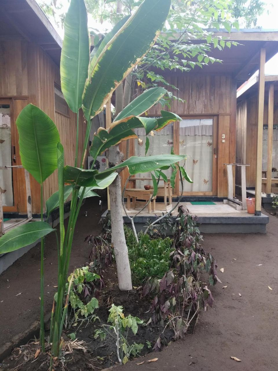 Beach Box Bungalow Gili Trawangan Zewnętrze zdjęcie